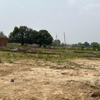 plot1