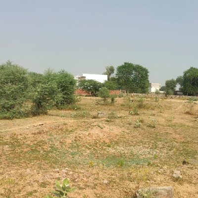 plot14