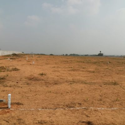 plot17