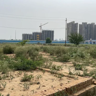 plot5