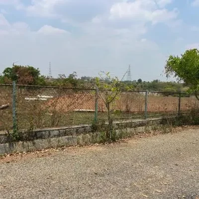 plot7